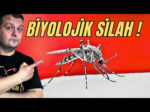 Amerika&#039;nın Biyo-Silah Deneyleri